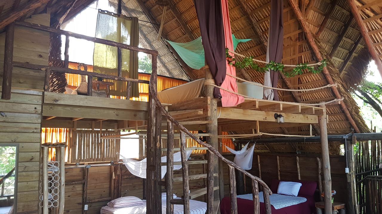Cabarete Maravilla Eco Lodge & Beach La Mulata Exterior foto